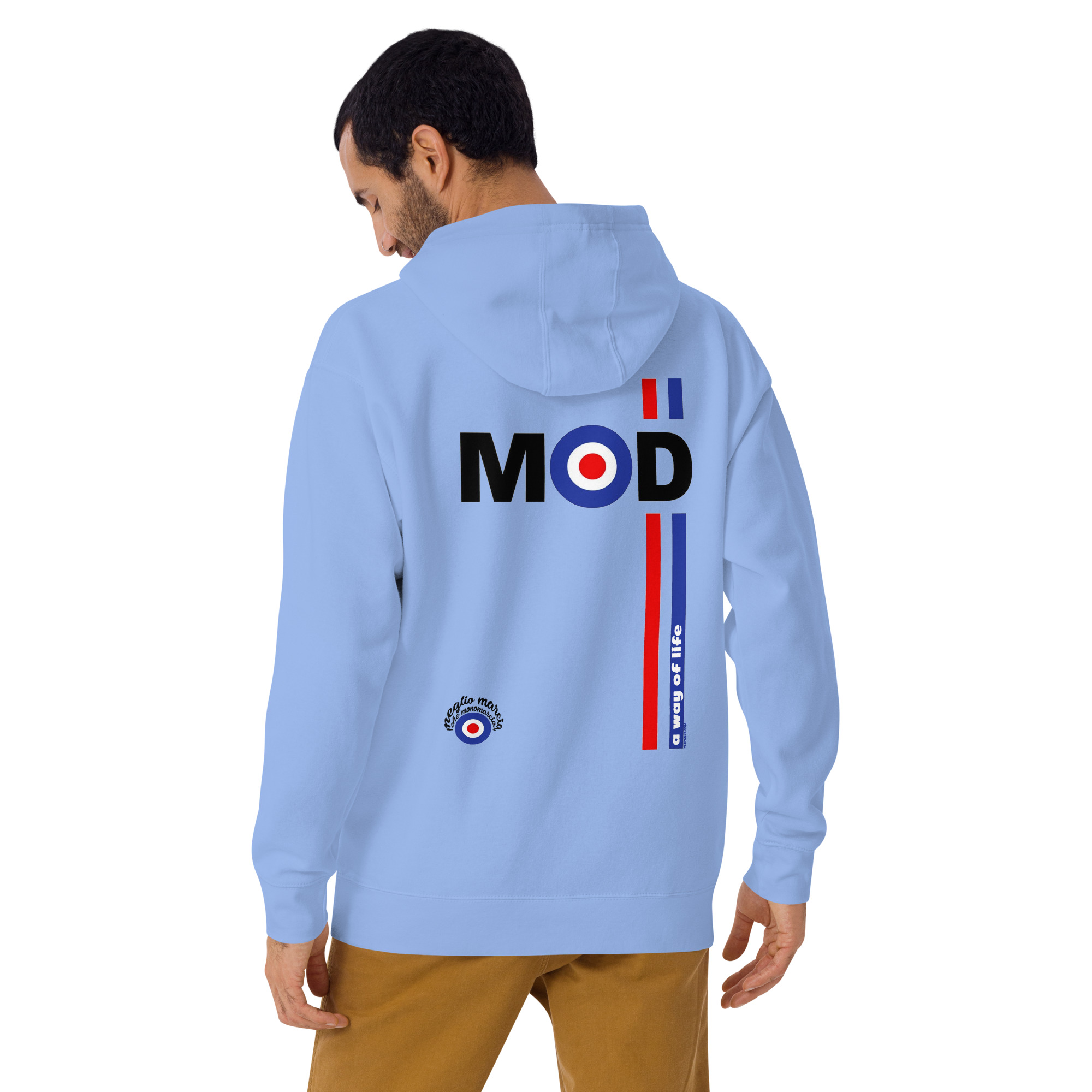 unisex-premium-hoodie-carolina-blue-back-631b013d85eb2.jpg