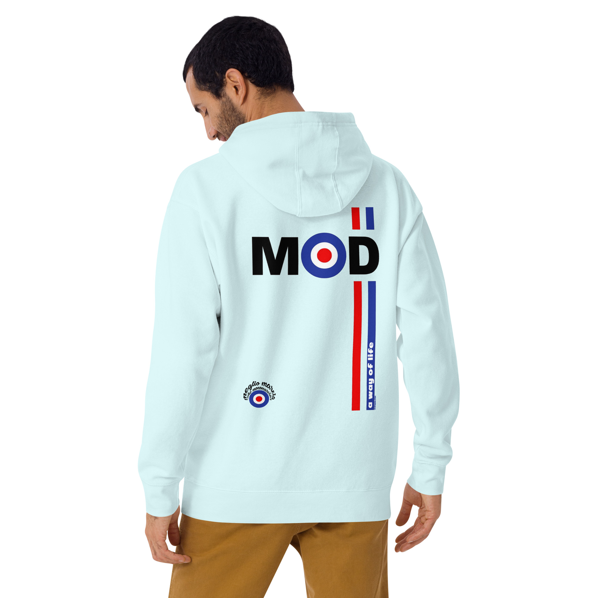 unisex-premium-hoodie-sky-blue-back-631b013d8c00a.jpg